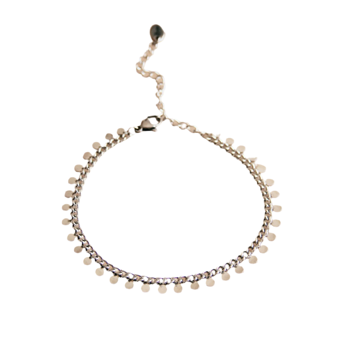 SA833: Stalen schakelarmband met muntjes - zilver