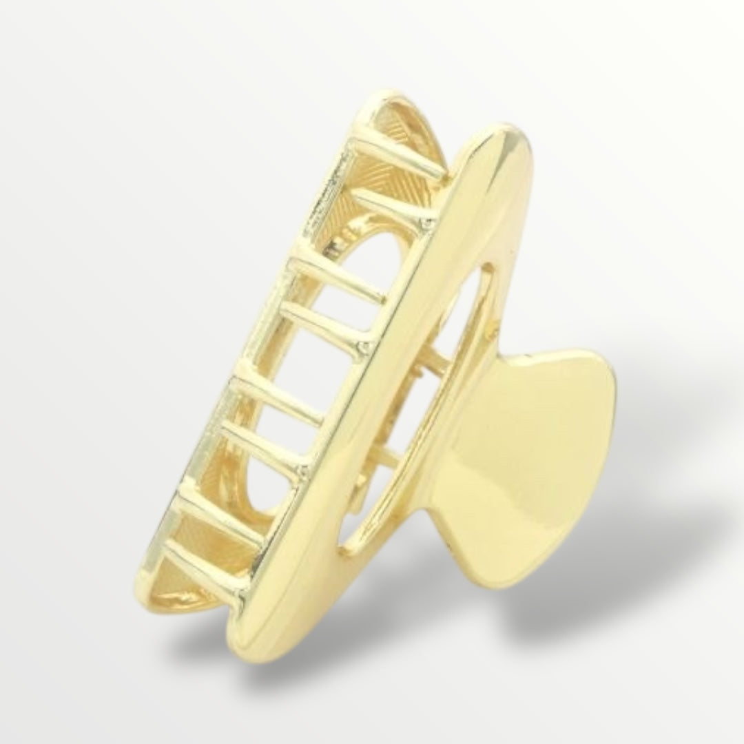 Haarklem classy goud