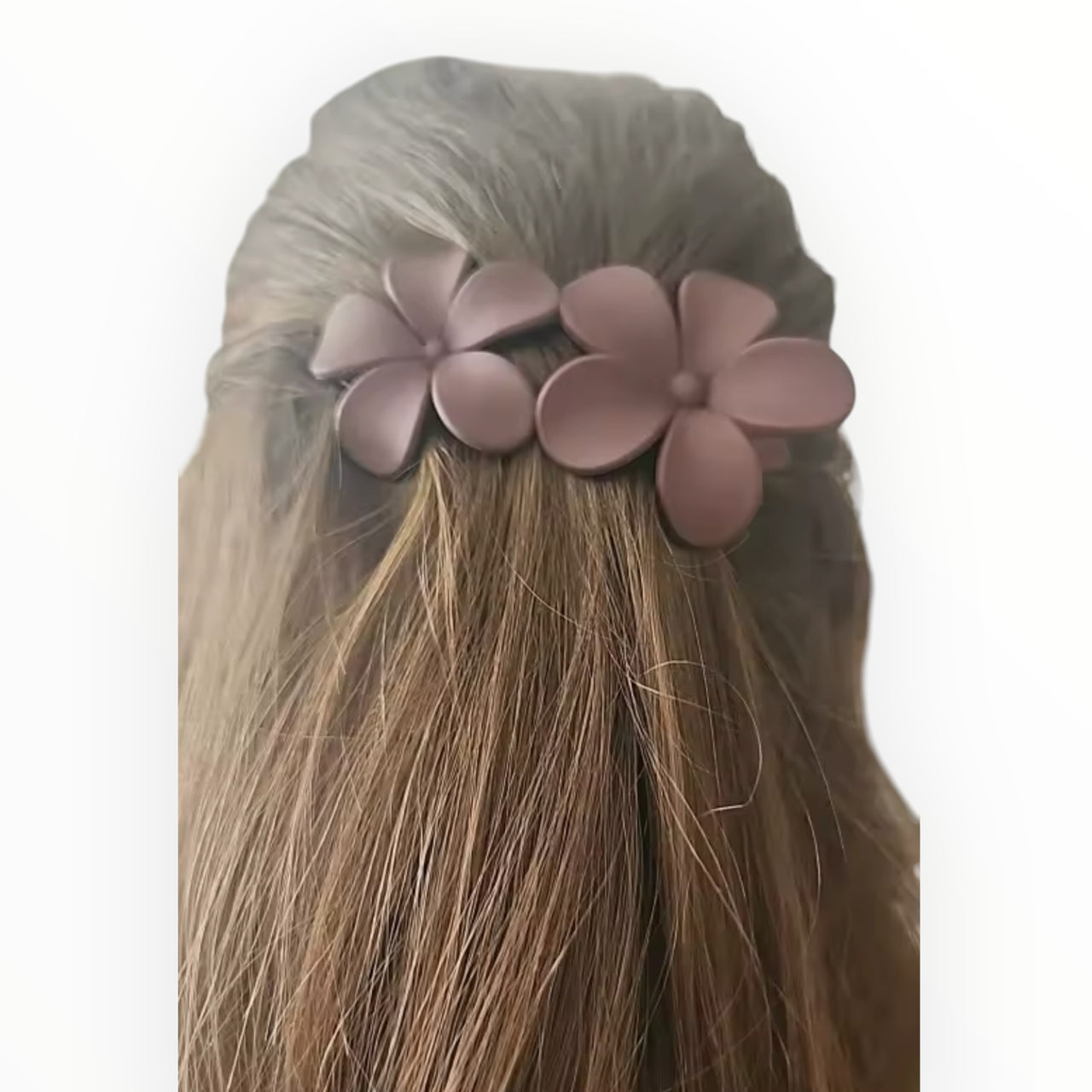 Haarklem summer flowers bruin