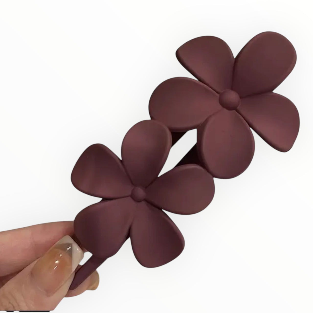 Haarklem summer flowers bruin