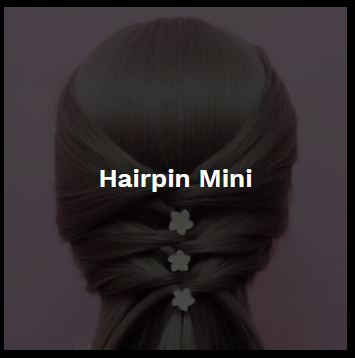 Hairpin long round- hairaccessoire - haarpin incl. 3 gratis clickbuttons naar keuze