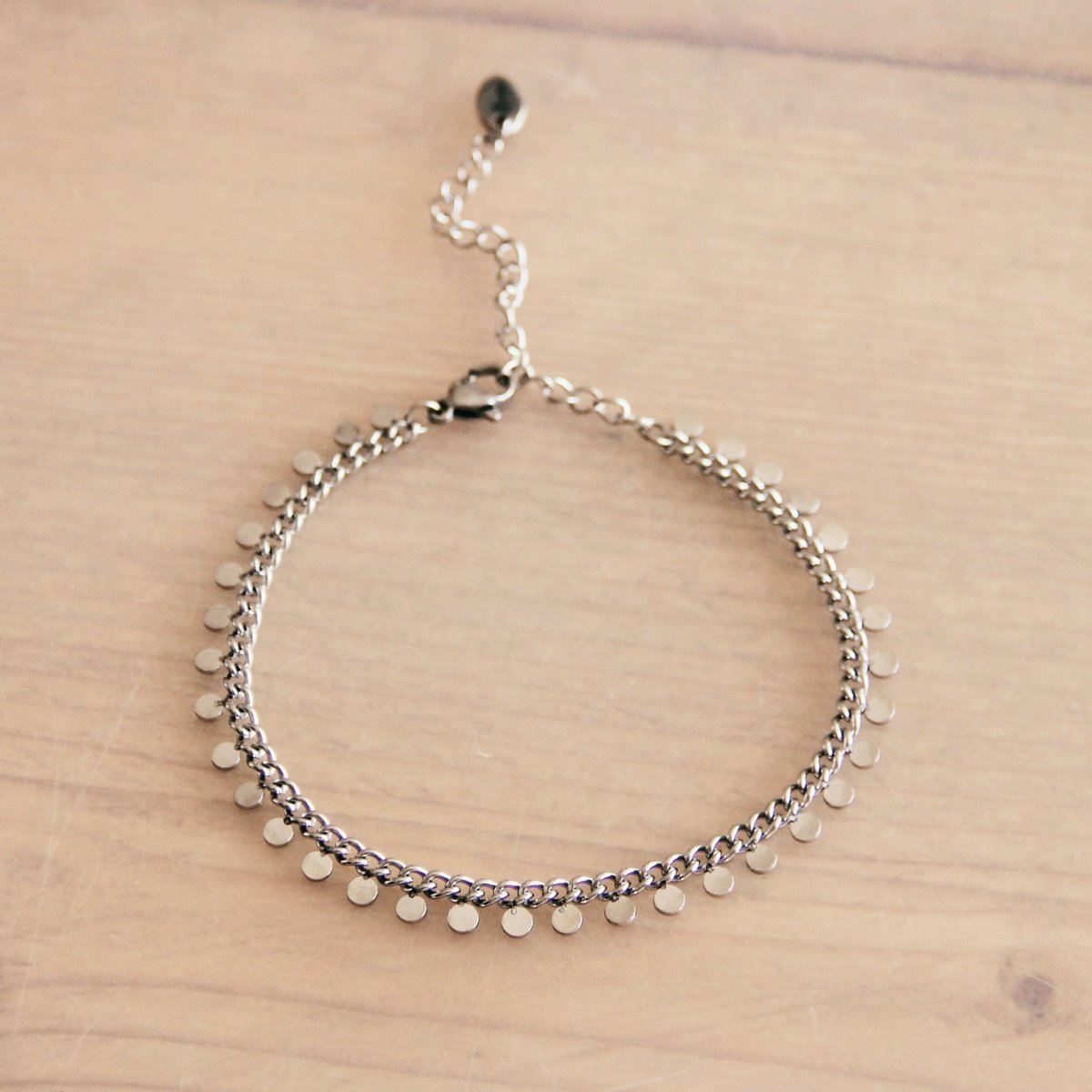 SA833: Stalen schakelarmband met muntjes - zilver